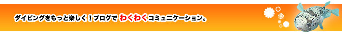 ダイビングをもっと楽しく！ブログでわくわくコミュニケーション。
